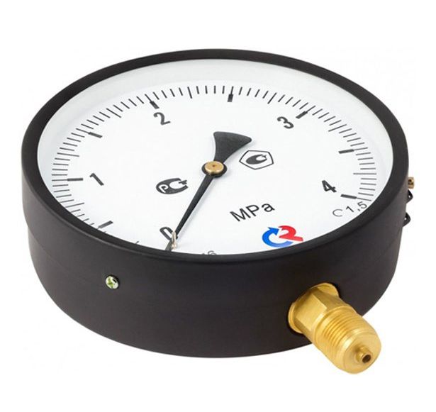 Манометр TM-510P.00 (0...2,5)МПа, 100мм, кл.1,5, IP40, М20х1,5 радиальный, черный, Росма