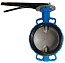 Затвор чугунный с чугунным диском DN  65 PN 16 (EPDM), Seagull